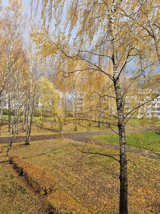 Ilguciema Apartment Riga Extérieur photo